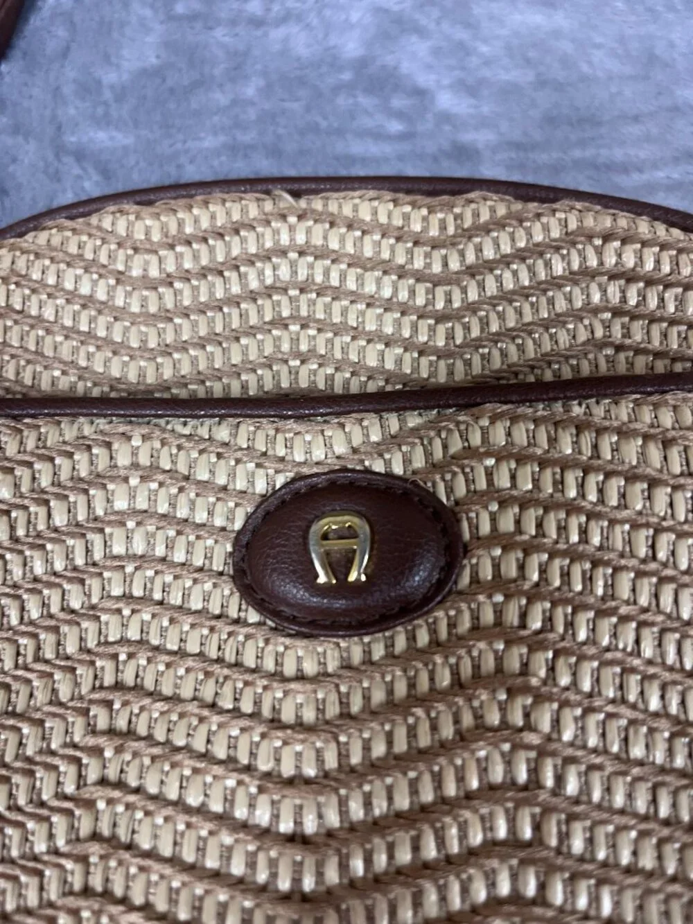 Etienne Aigner Woven Crossboy Bag